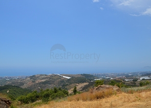 ارض للبيع في الانيا -بسعر مميز 