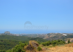 ارض للبيع في الانيا -بسعر مميز 