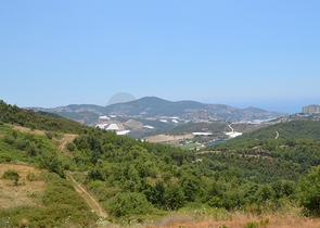 ارض للبيع في الانيا -بسعر مميز 