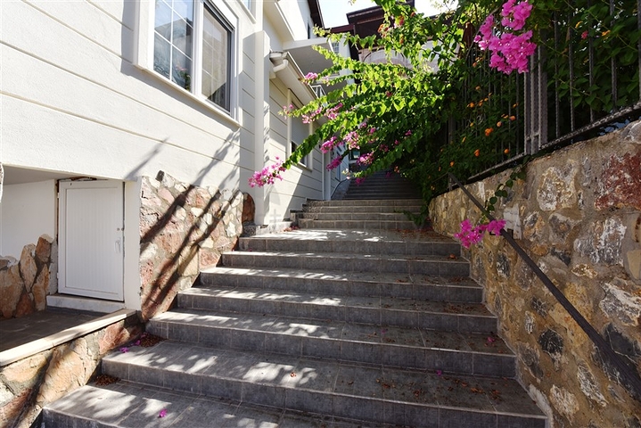 اطلالة بحر -شقة عائلية مفروشة - غرفتين وصالة - في مركز الانيا 