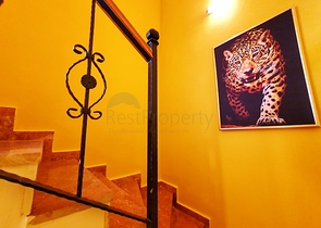 طابق مرتفع - دوبلكس واسعة 4 غرف وصالة -بسعر مميز - في مهموتلار / الانيا 