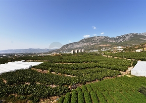 دوبلكس اطلالة بحر وجبل - 2 غرفة وصالة - مجمع سكني حديث - مهموتلار / الانيا 