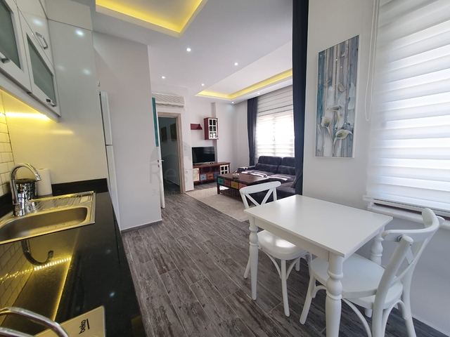 100 متر عن البحر - في مركز الانيا -شقة 2 غرفة وصالة .