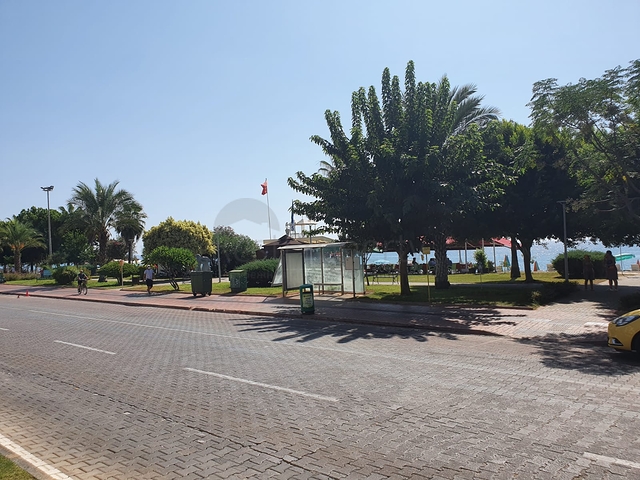 100 متر عن البحر - في مركز الانيا -شقة 2 غرفة وصالة .