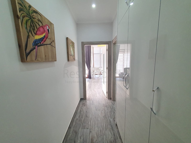 100 متر عن البحر - في مركز الانيا -شقة 2 غرفة وصالة .