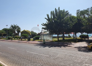 100 متر عن البحر - في مركز الانيا -شقة 2 غرفة وصالة .