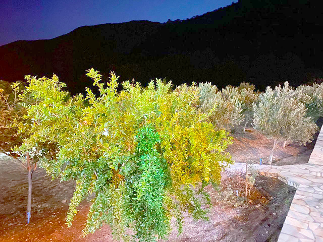 منزل 4 + 1 في Kumluja Kemer محاط ببساتين الحمضيات