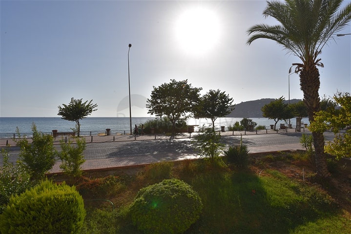 على البحر مباشرة وفي مركز الانيا - شقة 3 غرف وصالة - مناسبة كاستثمار ناجح . 