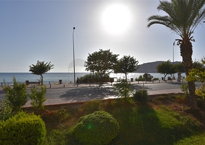 على البحر مباشرة وفي مركز الانيا - شقة 3 غرف وصالة - مناسبة كاستثمار ناجح . 