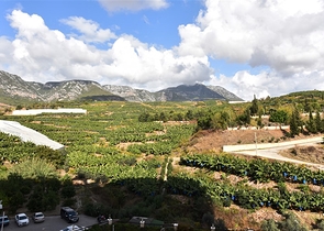 اسكن ضمن مجمع فاخر - شقة مؤثثة تصميم 1+1 - في مهموتلار /الانيا 