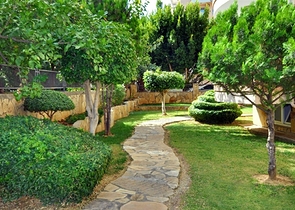 منزل العائلة - شقة 2 غرفة وصالة - مفروشة - في منطقة اوبا المركزية / الانيا 