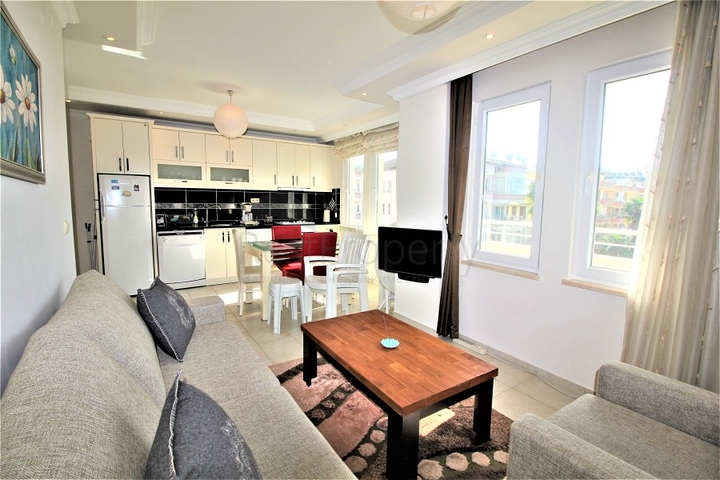 في مركز المدينة - شقة غرفة نوم وصالة مفروشة - الانيا 