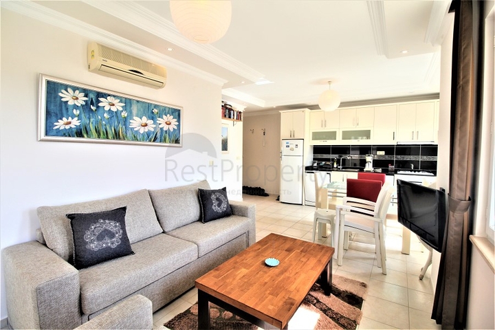 في مركز المدينة - شقة غرفة نوم وصالة مفروشة - الانيا 