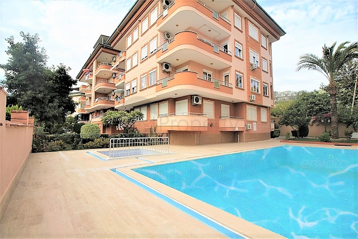 شقة غرفتين وصالة - في مركز مدينة الانيا 