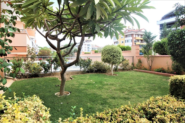 شقة غرفتين وصالة - في مركز مدينة الانيا 