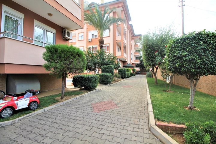 شقة غرفتين وصالة - في مركز مدينة الانيا 