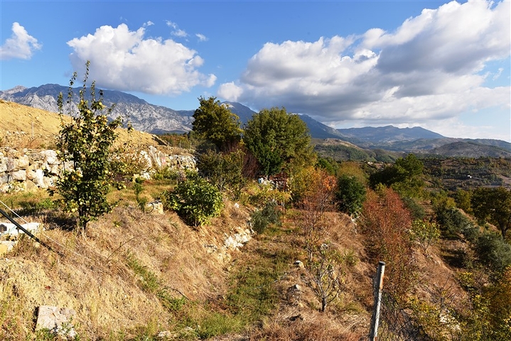 منزل خشبي مميز بين احضان الطبيعة - مع ارض زراعية مساحة 4 دونم ونصف -في ديمرتاش / الانيا 