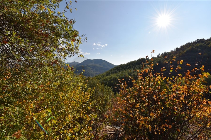 منزل خشبي مميز بين احضان الطبيعة - مع ارض زراعية مساحة 4 دونم ونصف -في ديمرتاش / الانيا 