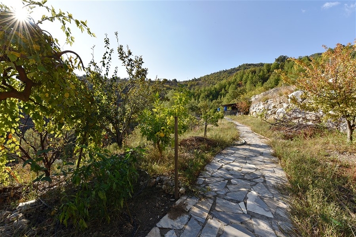 منزل خشبي مميز بين احضان الطبيعة - مع ارض زراعية مساحة 4 دونم ونصف -في ديمرتاش / الانيا 