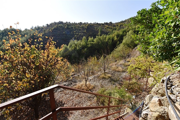 منزل خشبي مميز بين احضان الطبيعة - مع ارض زراعية مساحة 4 دونم ونصف -في ديمرتاش / الانيا 