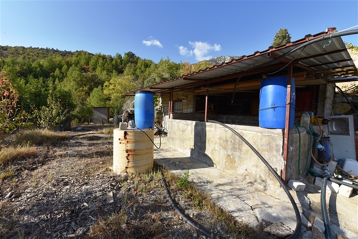 منزل خشبي مميز بين احضان الطبيعة - مع ارض زراعية مساحة 4 دونم ونصف -في ديمرتاش / الانيا 