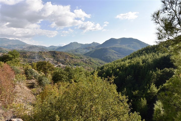 منزل خشبي مميز بين احضان الطبيعة - مع ارض زراعية مساحة 4 دونم ونصف -في ديمرتاش / الانيا 