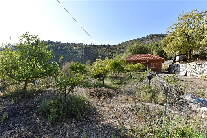 منزل خشبي مميز بين احضان الطبيعة - مع ارض زراعية مساحة 4 دونم ونصف -في ديمرتاش / الانيا 