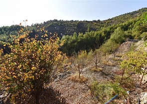 منزل خشبي مميز بين احضان الطبيعة - مع ارض زراعية مساحة 4 دونم ونصف -في ديمرتاش / الانيا 