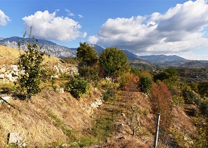 منزل خشبي مميز بين احضان الطبيعة - مع ارض زراعية مساحة 4 دونم ونصف -في ديمرتاش / الانيا 