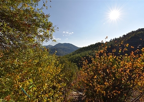 منزل خشبي مميز بين احضان الطبيعة - مع ارض زراعية مساحة 4 دونم ونصف -في ديمرتاش / الانيا 