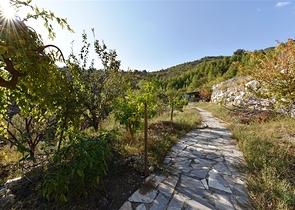 منزل خشبي مميز بين احضان الطبيعة - مع ارض زراعية مساحة 4 دونم ونصف -في ديمرتاش / الانيا 