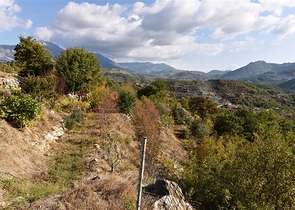 منزل خشبي مميز بين احضان الطبيعة - مع ارض زراعية مساحة 4 دونم ونصف -في ديمرتاش / الانيا 