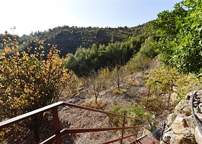 منزل خشبي مميز بين احضان الطبيعة - مع ارض زراعية مساحة 4 دونم ونصف -في ديمرتاش / الانيا 