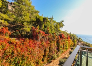 اطلالة بحرية ساحرة - شقة فاخرة ضمن مجمع اول صف على البحر - 2 غرفة وصالة - كارجي جاك / الانيا 