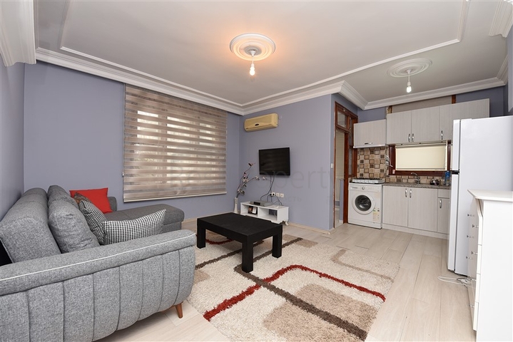 بسعر اقتصادي - شقة غرفة وصالة مع الاثاث - في مركز الانيا 