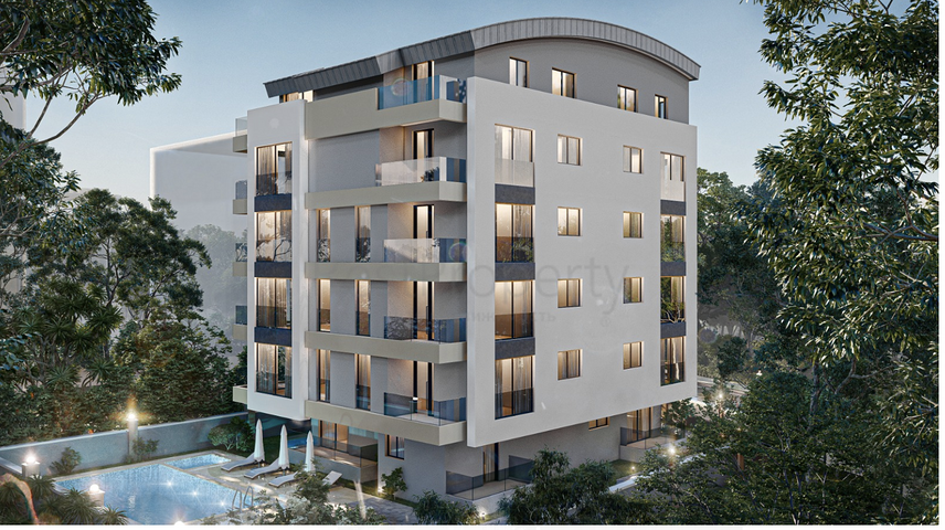 مشروع استثماري بأقساط بدون فوائد لمدة 12 شهر