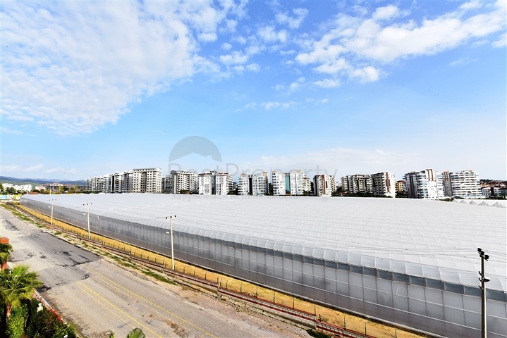 ضمن مجمع  نجوم - شقة 2 غرفة وصالة - مؤثثة - في افسلار / الانيا 