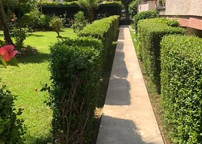 طابق مرتفع - شقة 2 غرفة وصالة -مساحة 125 م - في مهموتلار / الانيا