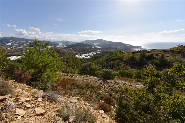 اراضي للبيع في مدينة الانيا / منطقة ديمرتاش 