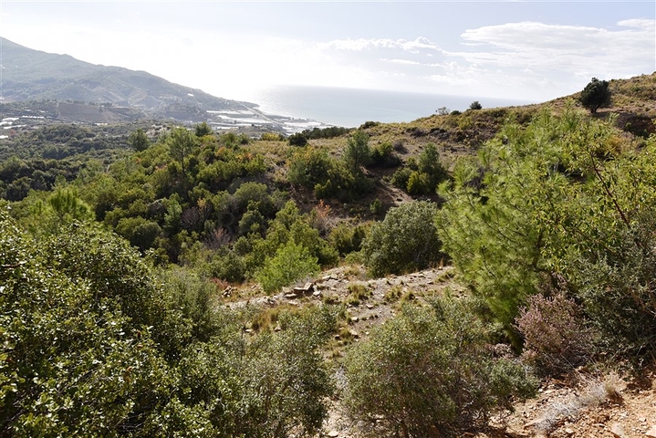 اراضي للبيع في مدينة الانيا / منطقة ديمرتاش 