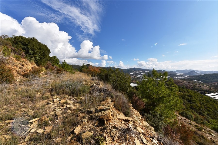 اراضي للبيع في مدينة الانيا / منطقة ديمرتاش 