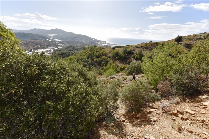 اراضي للبيع في مدينة الانيا / منطقة ديمرتاش 