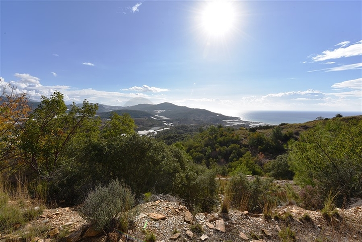 اراضي للبيع في مدينة الانيا / منطقة ديمرتاش 