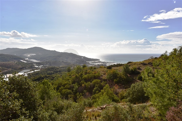 اراضي للبيع في مدينة الانيا / منطقة ديمرتاش 