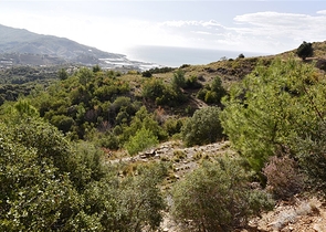 اراضي للبيع في مدينة الانيا / منطقة ديمرتاش 