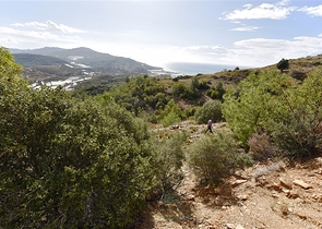 اراضي للبيع في مدينة الانيا / منطقة ديمرتاش 