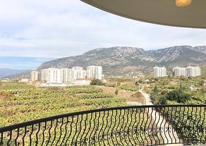 اطلالة جبلية خضراء - شقة 2 غرفة وصالة - بسعر مناسب - في مهموتلار / الانيا