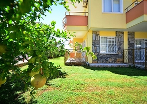 شقة غرفة وصالة - في منطقة توسمور المركزية / الانيا 