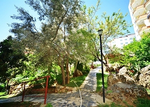 شقة غرفة وصالة - في منطقة توسمور المركزية / الانيا 