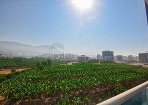 ضمن مجمع سكني حديث - شقة غرفة وصالة - مفروشة - في مهموتلار / الانيا 